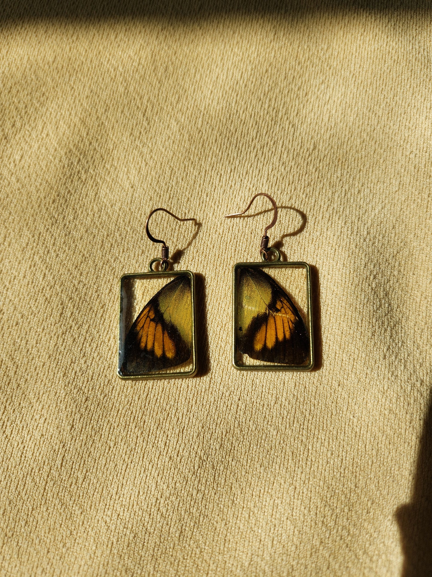 Hebomoia Butterfly Wing Earrings