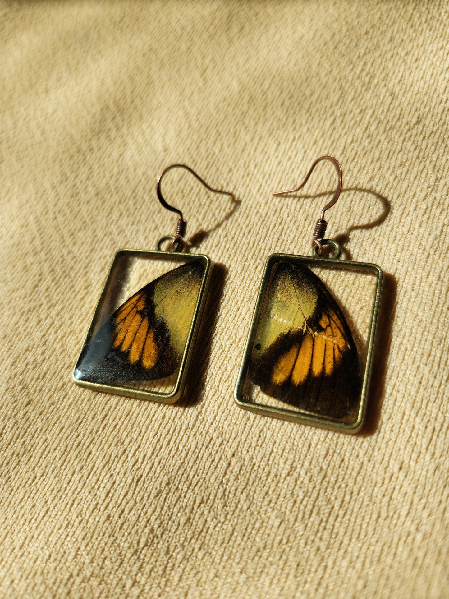 Hebomoia Butterfly Wing Earrings